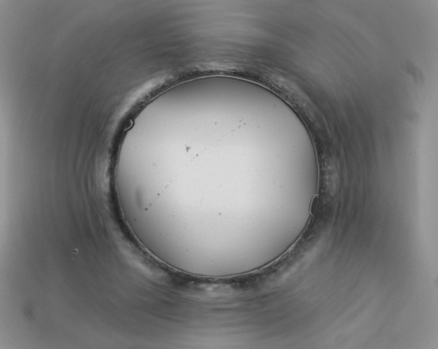 X0000113000395200909101801