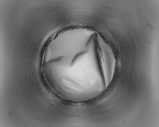 X0000113000396200909101801