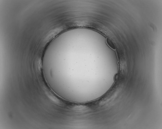 X0000113000397200909101801