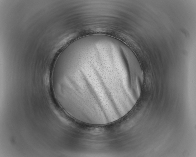 X0000113000398200909101801