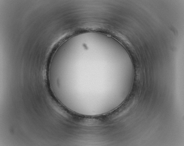 X0000113000399200909101801