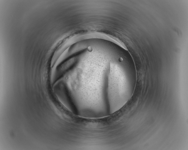 X0000113000400200909101801