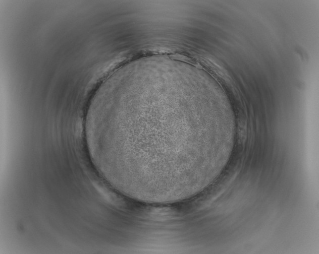 X0000113000401200909101801