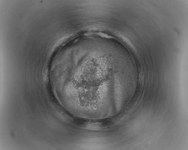 X0000113000403200909101801