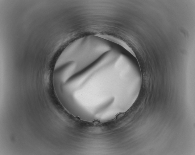 X0000113000404200909101801