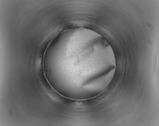 X0000113000406200909101801