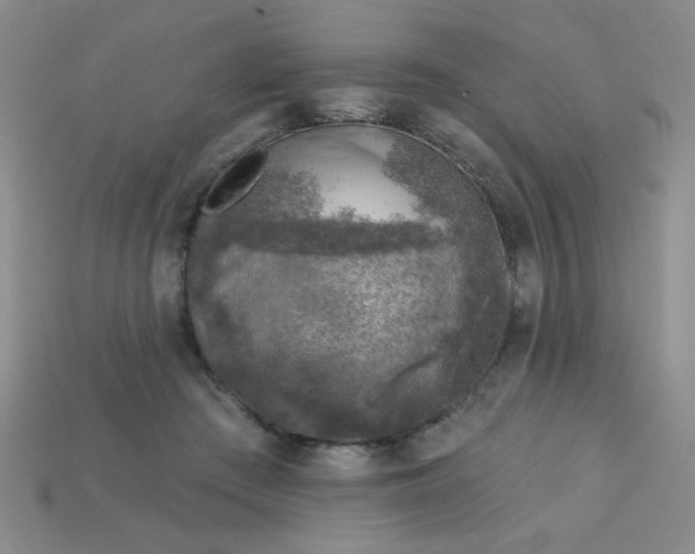 X0000113000409200909101801