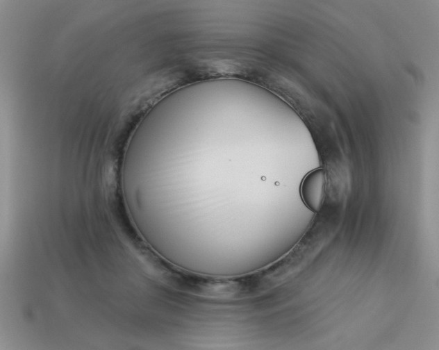 X0000113000410200909101801