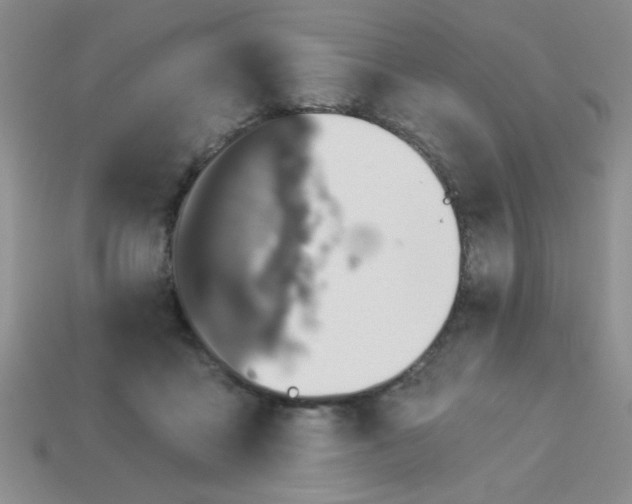 X0000113000411200909101801