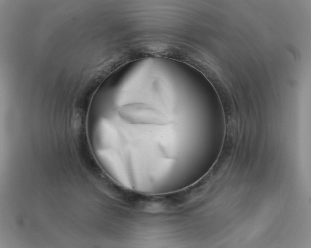 X0000113000412200909101801