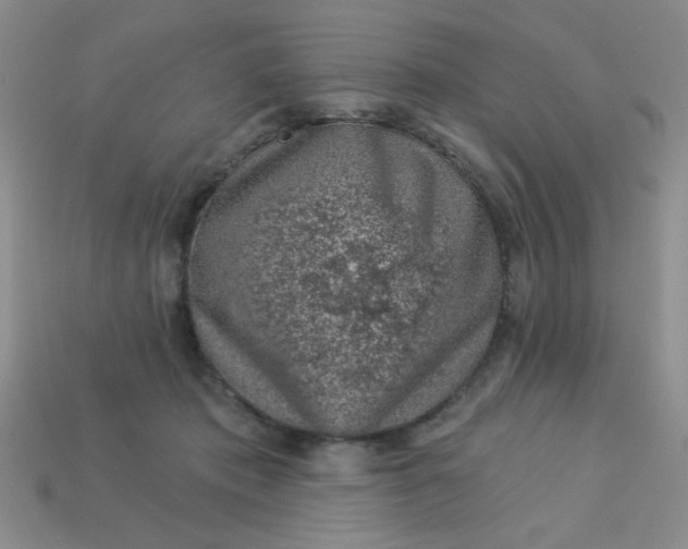 X0000113000413200909101801