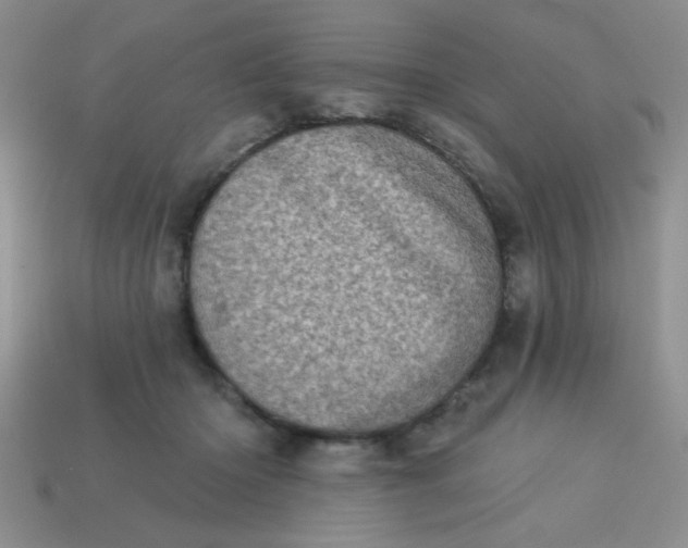 X0000113000414200909101800