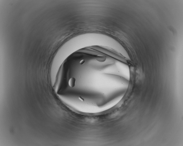 X0000113000415200909101800