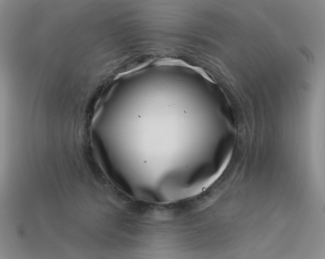 X0000113000416200909101800