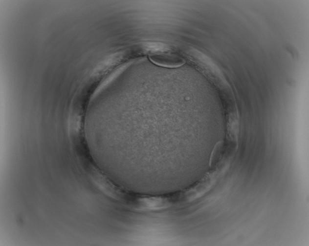 X0000113000417200909101800