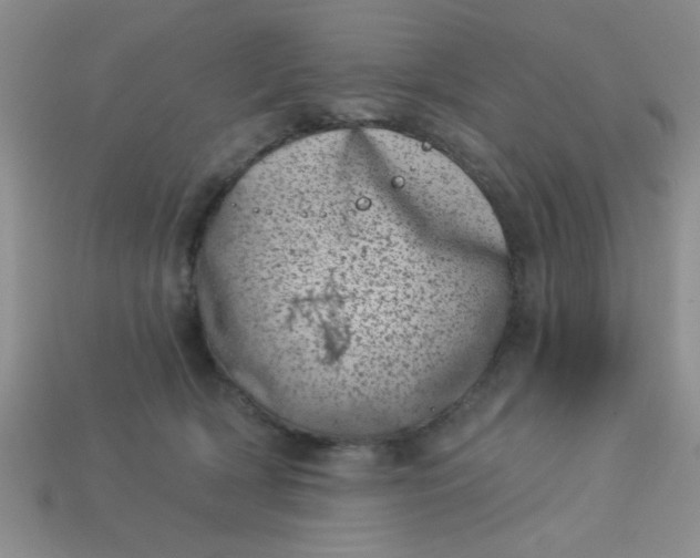 X0000113000418200909101800