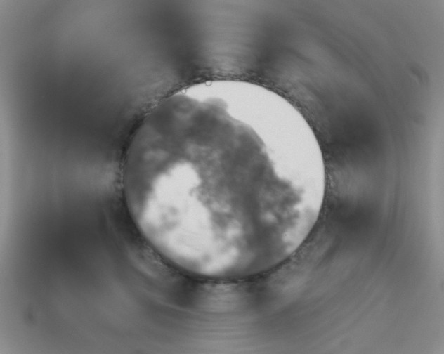 X0000113000419200909101800