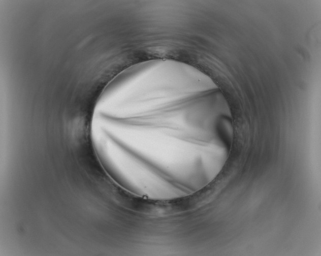 X0000113000420200909101800