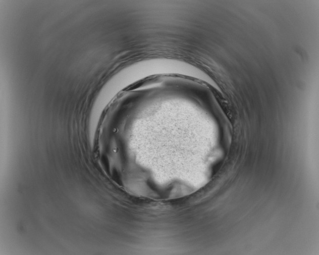 X0000113000421200909101800