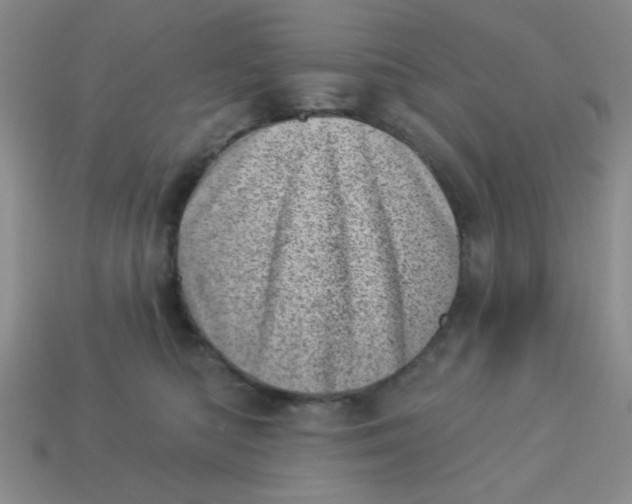 X0000113000422200909101800