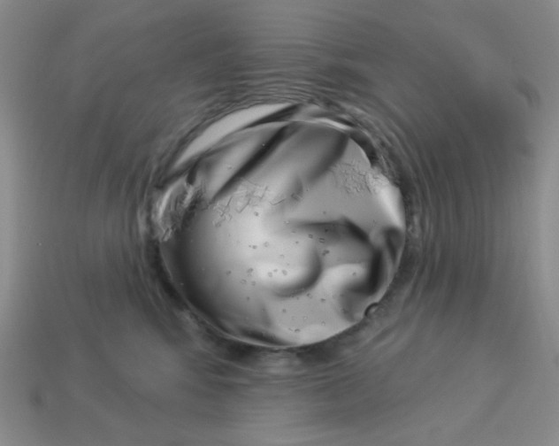 X0000113000424200909101800