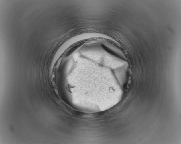 X0000113000425200909101800