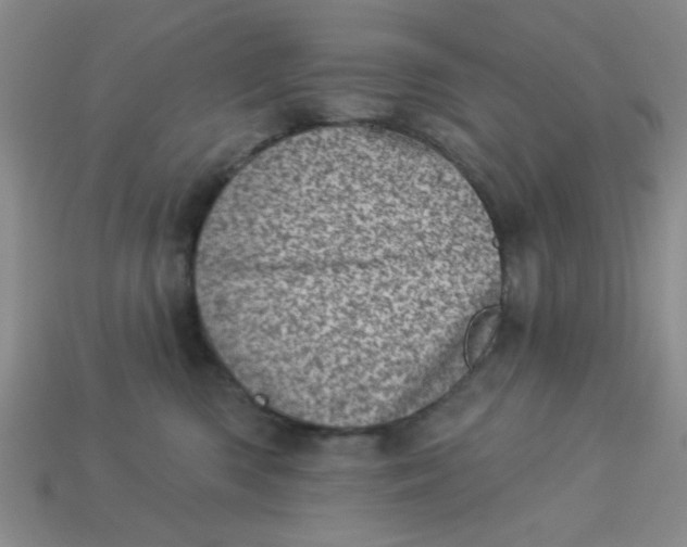 X0000113000426200909101800