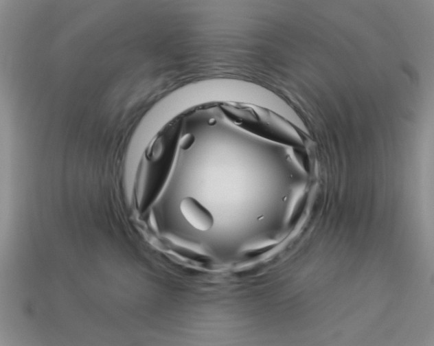 X0000113000427200909101800