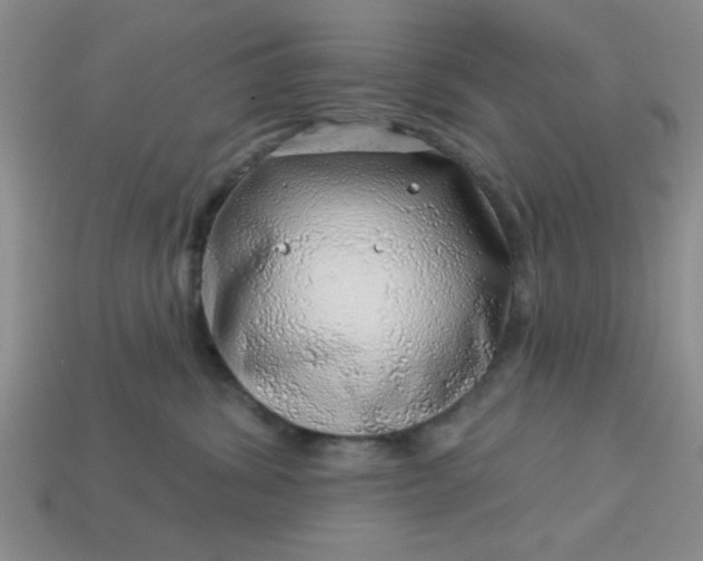 X0000113000428200909101800