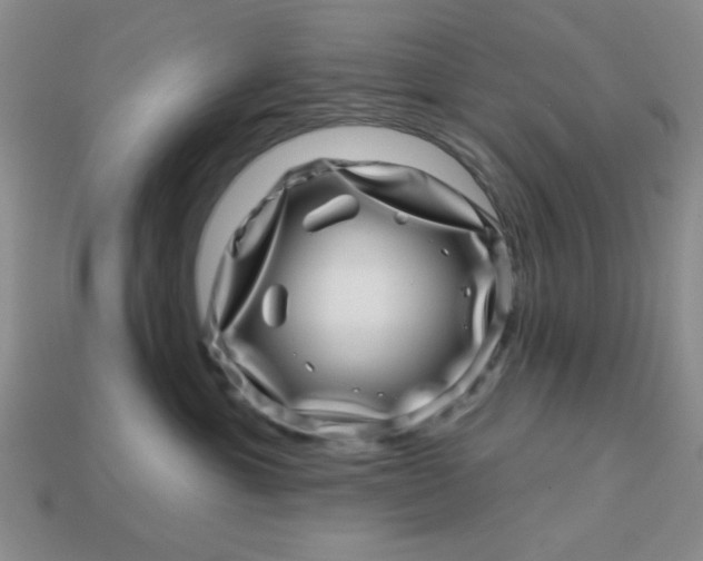 X0000113000429200909101800