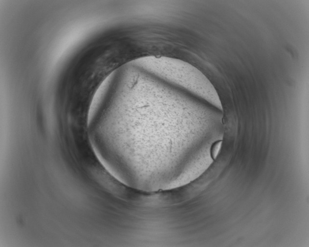 X0000113000430200909101800