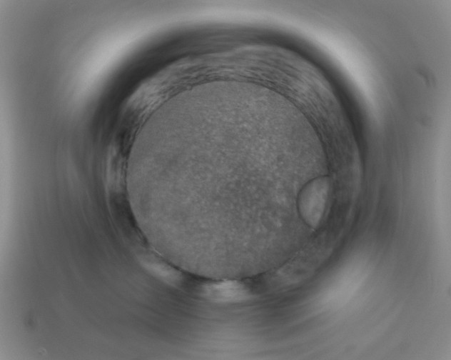 X0000113000431200909101800