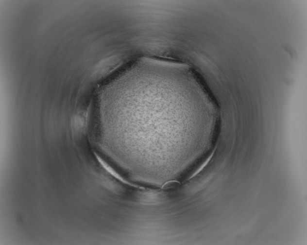 X0000113000432200909101800