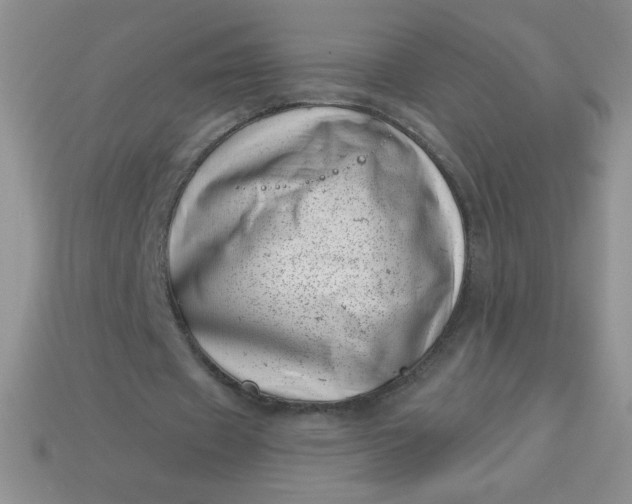 X0000113000433200909101800