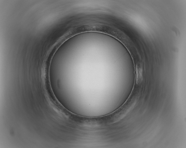 X0000113000435200909101800