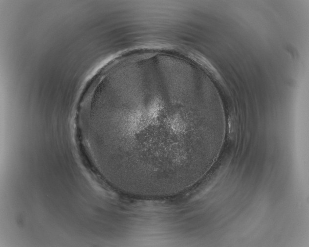 X0000113000436200909101800