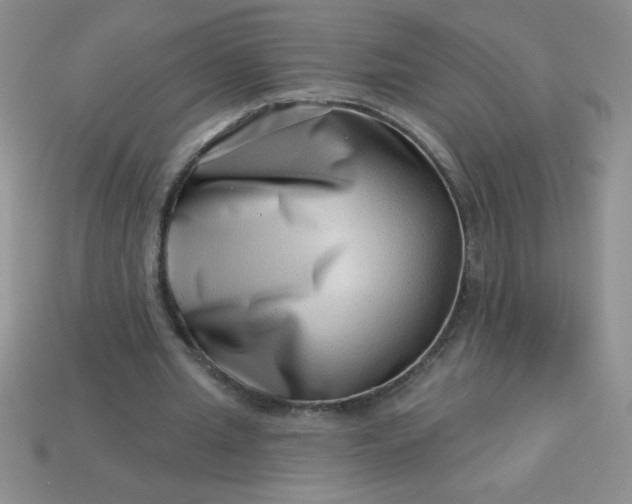 X0000113000437200909101800