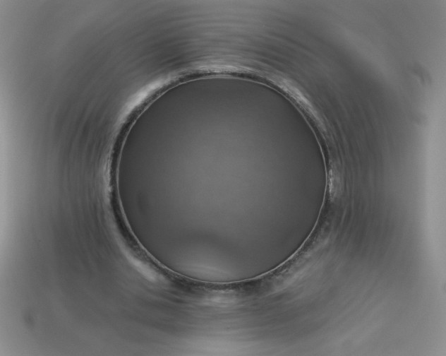 X0000113000438200909101800