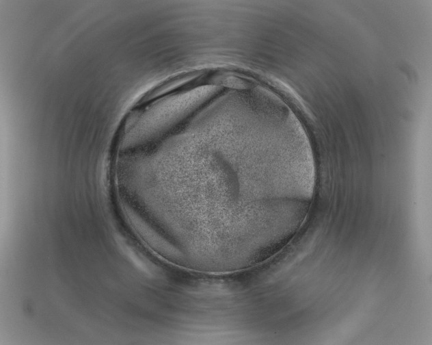 X0000113000439200909101800