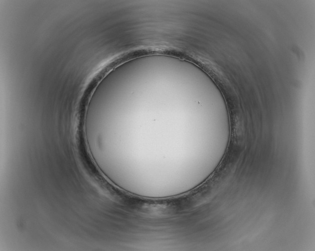 X0000113000440200909101800