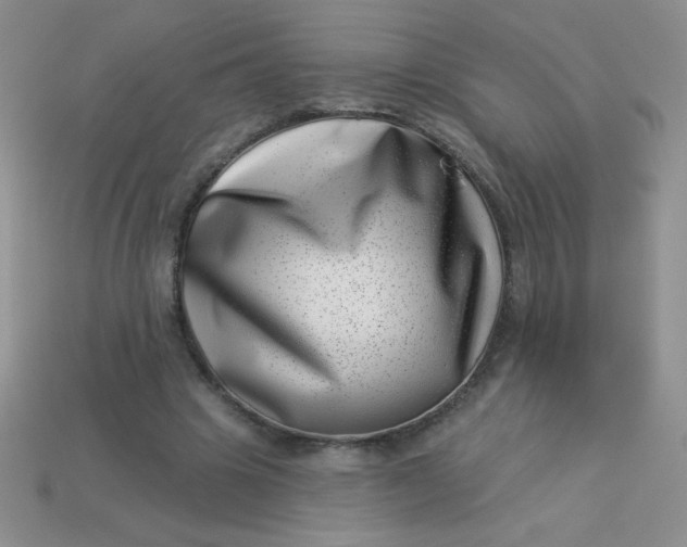 X0000113000441200909101800