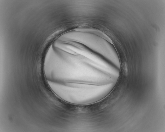 X0000113000442200909101800