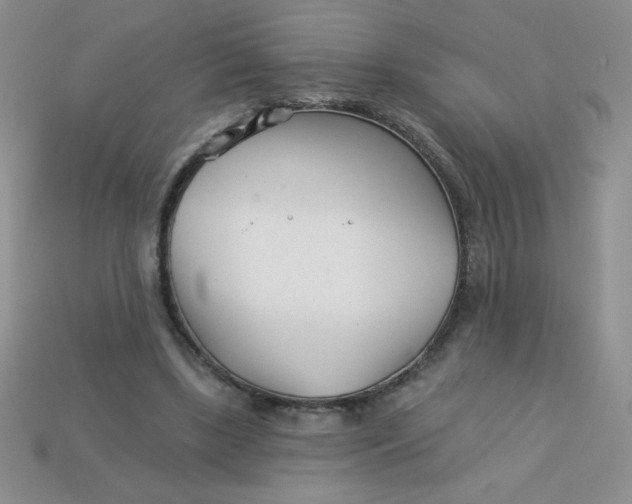 X0000113000443200909101800