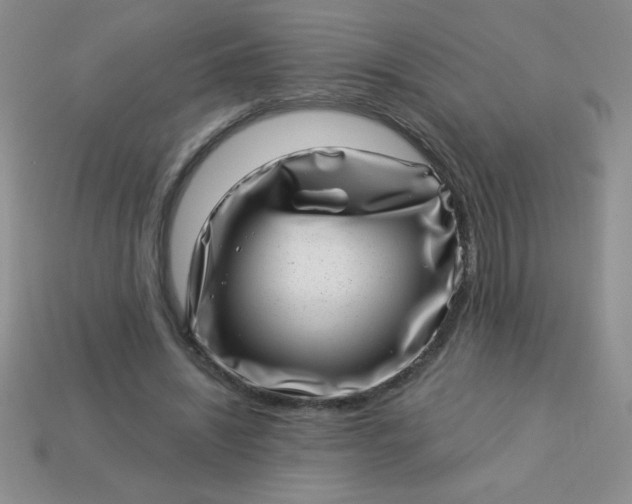 X0000113000444200909101800