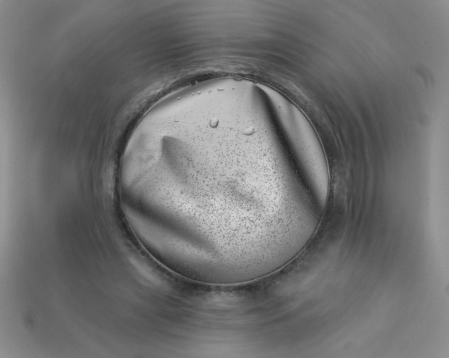 X0000113000445200909101800