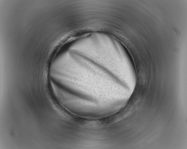 X0000113000446200909101800