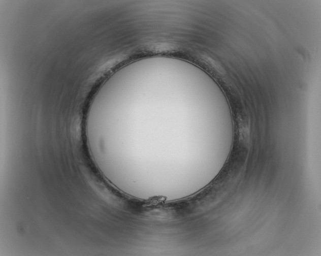 X0000113000447200909101800