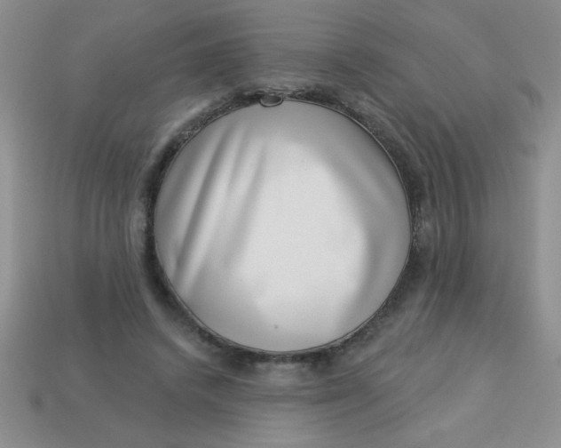 X0000113000448200909101800