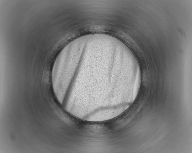 X0000113000449200909101800