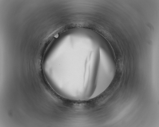 X0000113000450200909101800